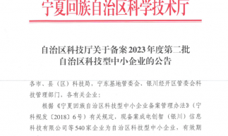 隆基电气喜获“自治区科技型中小企业”称号