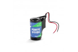 锂-亚硫酰氯电池ER26500+FPC1520